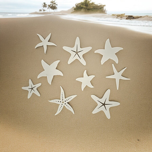 Starfish Assortment Bundle