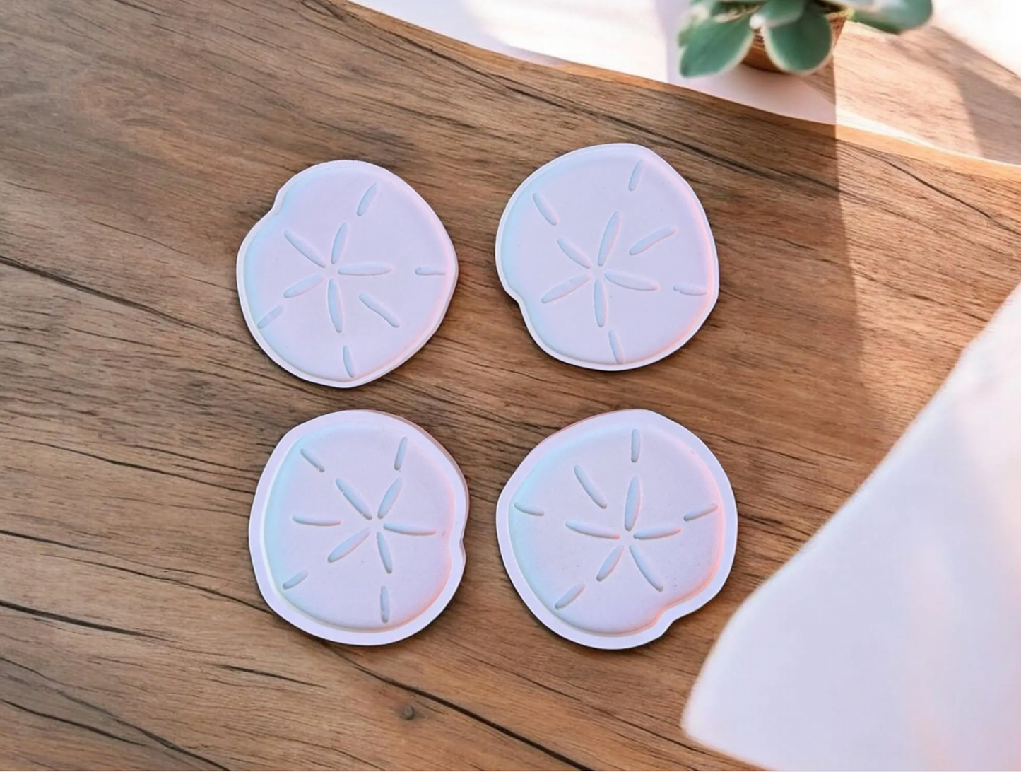 Sand Dollar Coasters