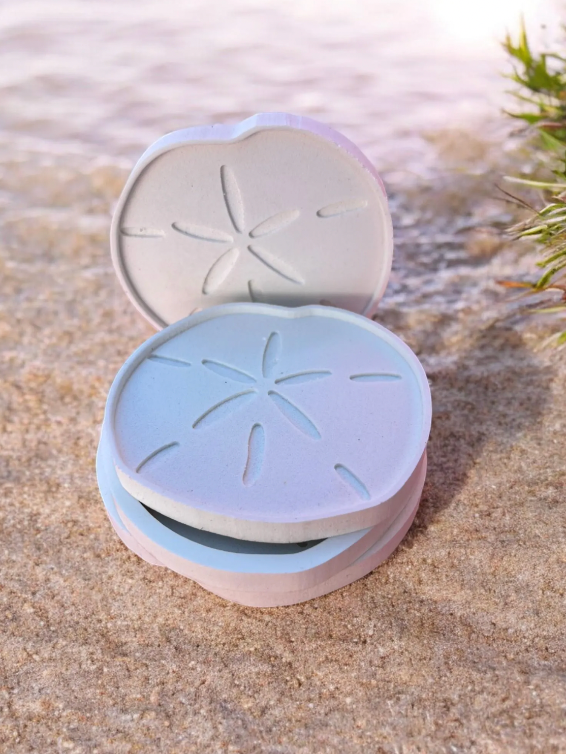 Sand Dollar Coasters